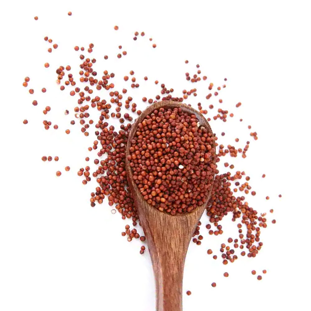 Ragi seeds
